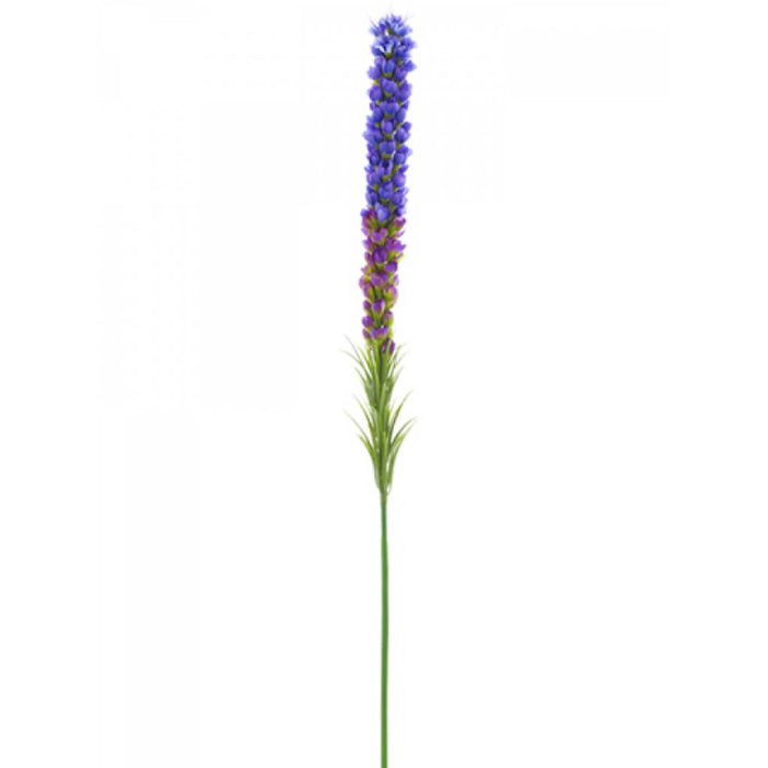 Liatris Spray 35" Pu/Ay 