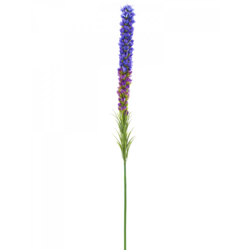 Liatris Spray 35" Pu/Ay 