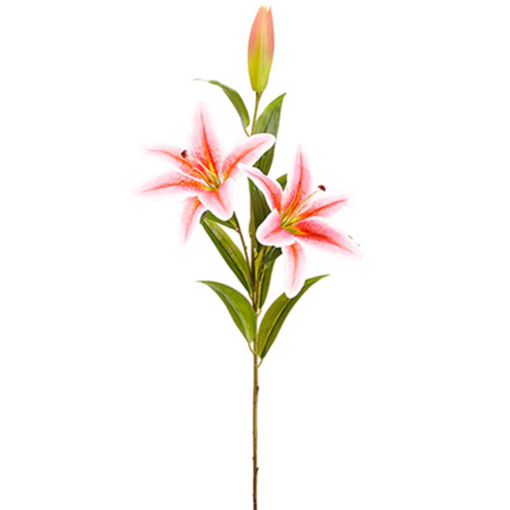 Lily Spray 43" Pk 