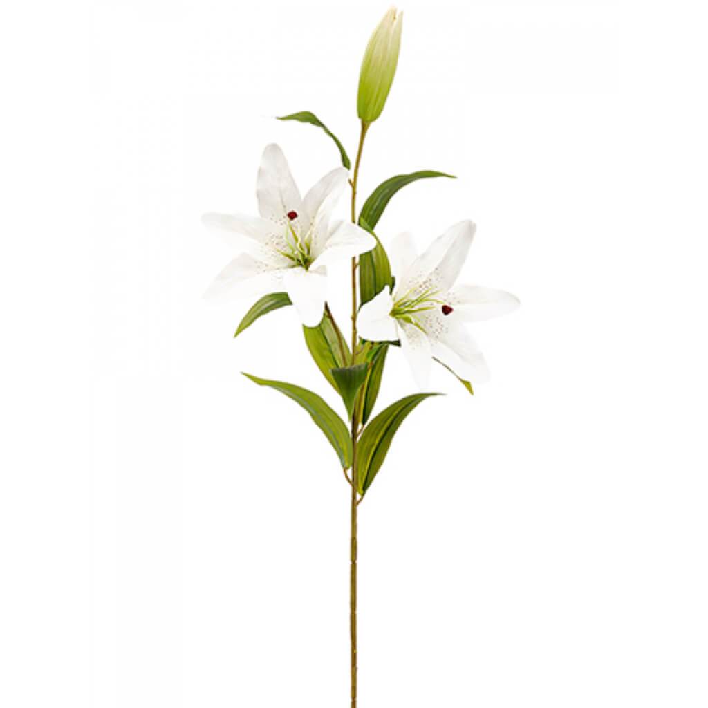 Lily Spray 43&quot; Wh 