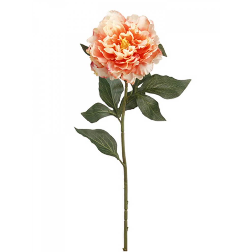 Peony Spray 26" Co 