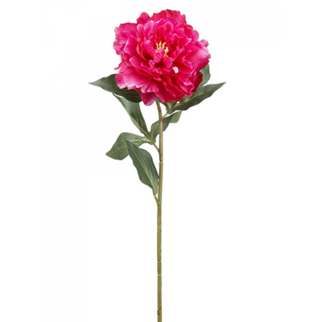 Peony Spray 26" Rb 