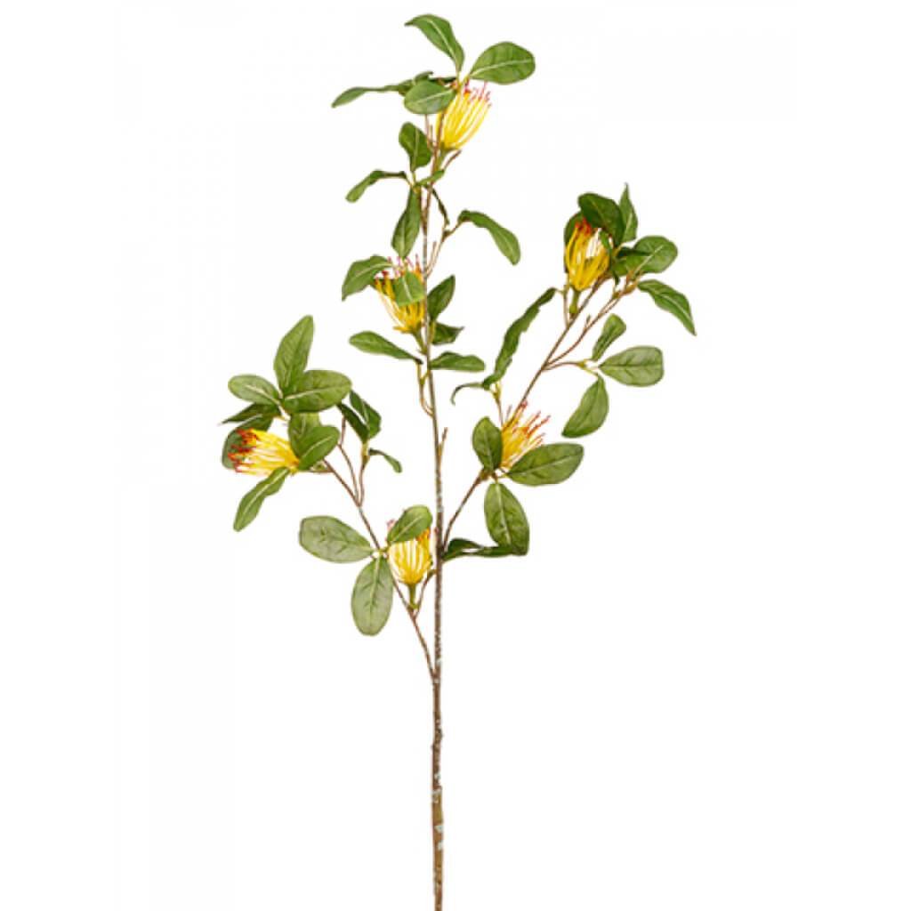 Protea Spray 28&quot; Ye 