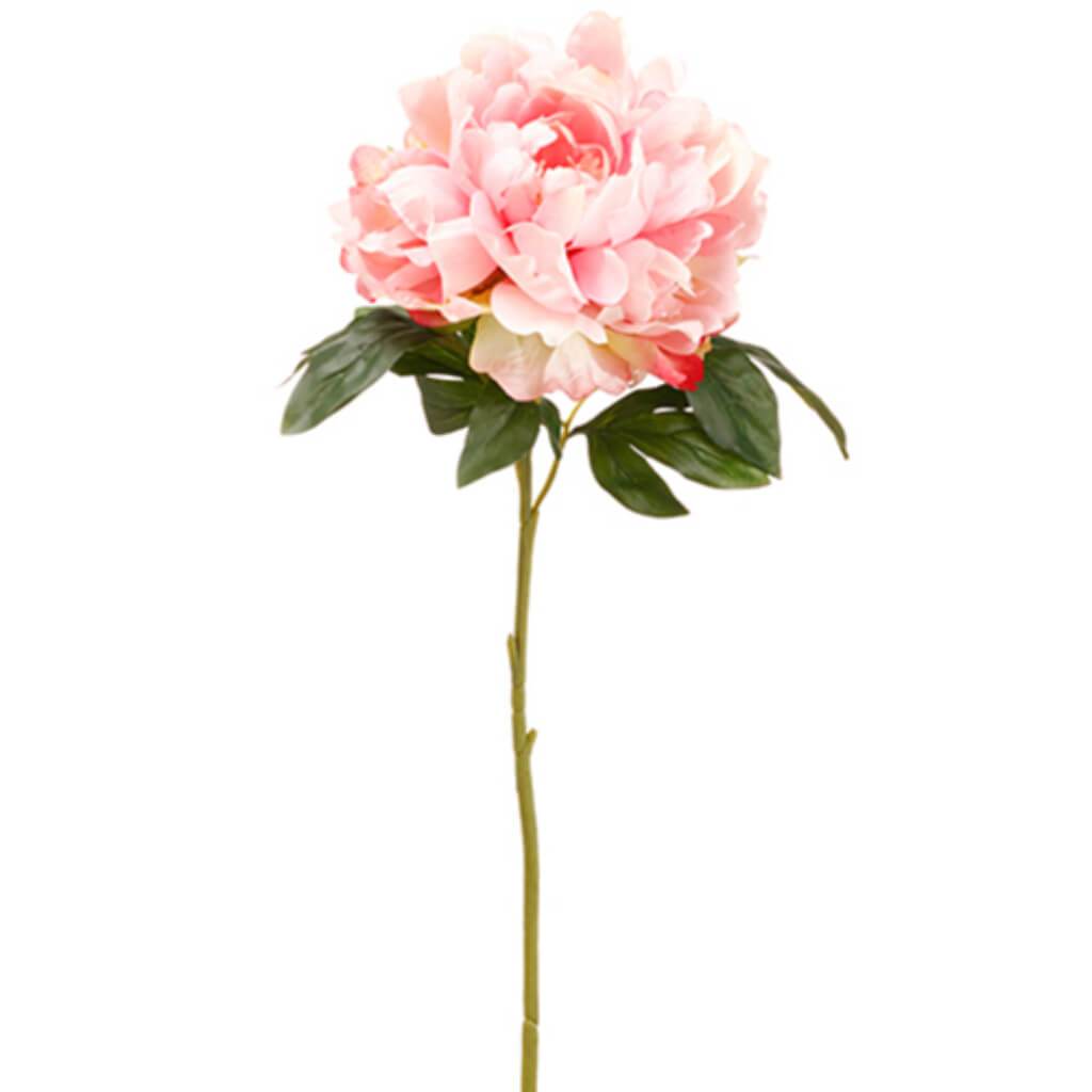 Peony Spray 23&quot; Pk 