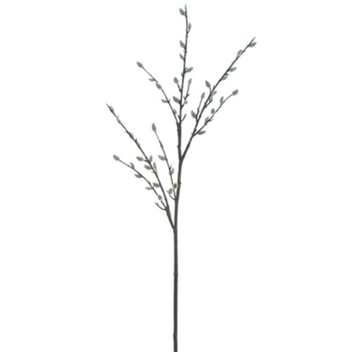 Pussy Willow Spray 55" Be/Gy 