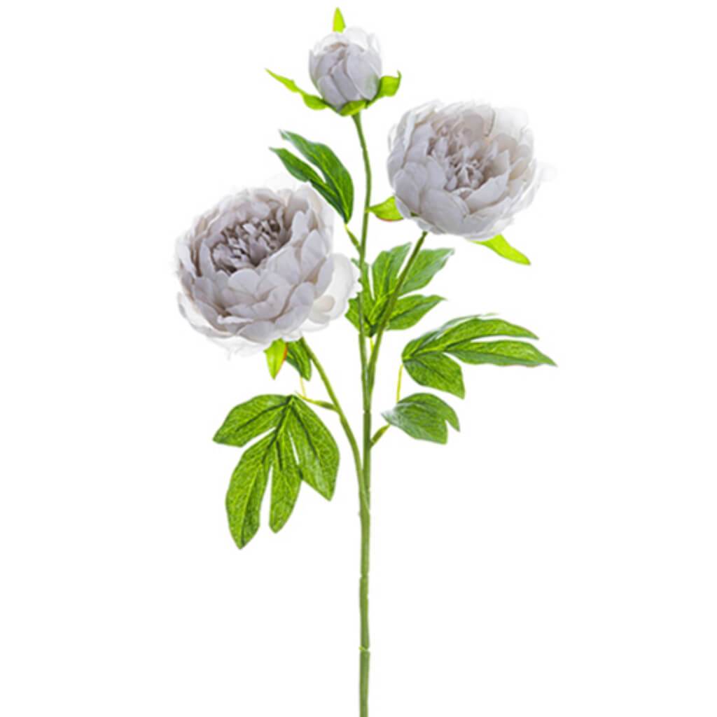 Peony Spray 25" Gy 