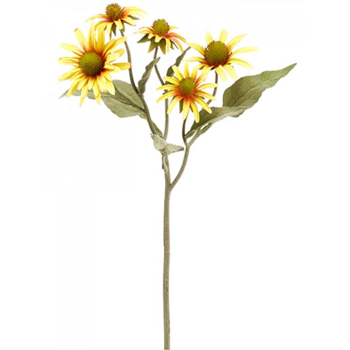 Rudbeckia Spray 20.5" Ye 