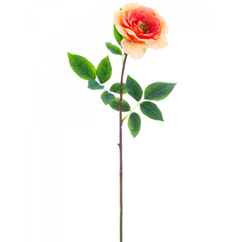 Rose Spray 27" Co 