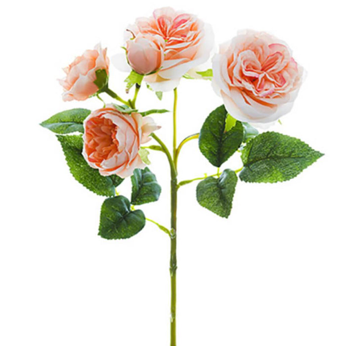 Peony Rose Spray W/4F & 1B 14" 