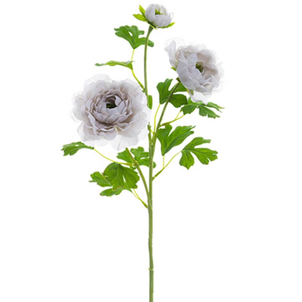 Ranunculus Spray 24" Gy 