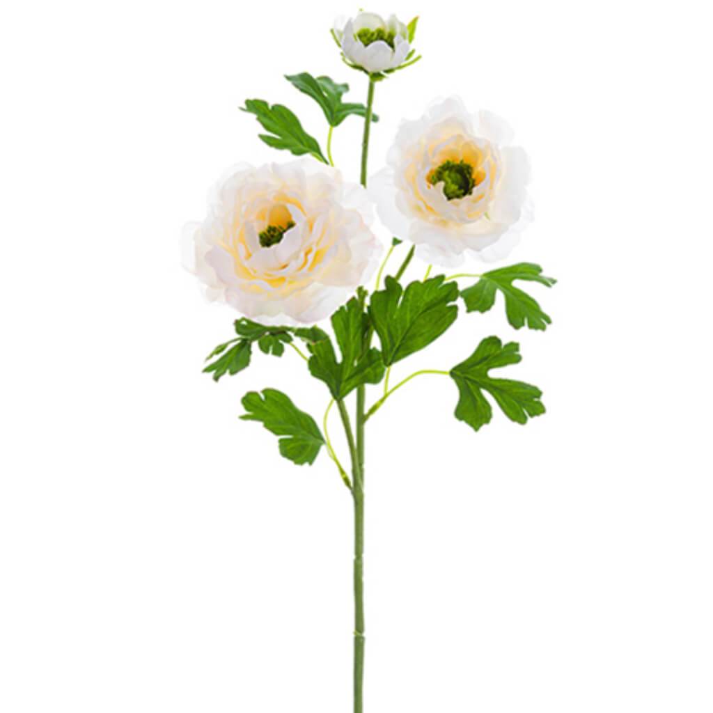 Ranunculus Spray 24" Pe 