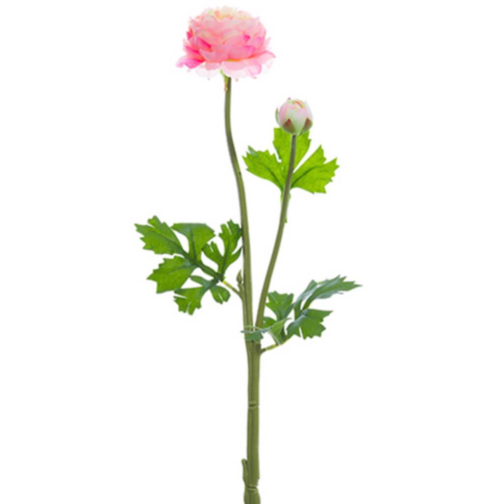 Ranunculus Spray 1.8 18.9" 