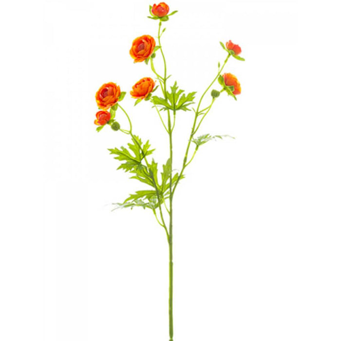 Mini Ranunculus Spray 22" Or 