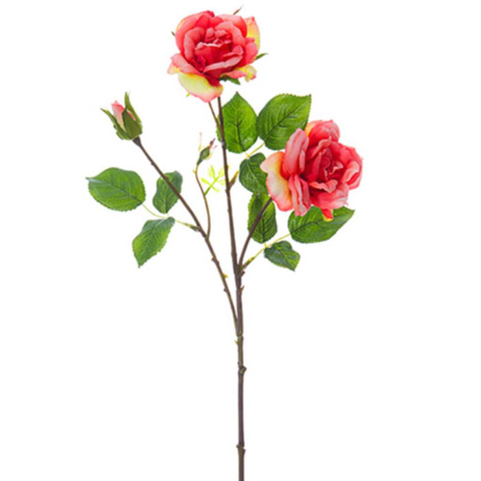 Rose Spray 24" Co 