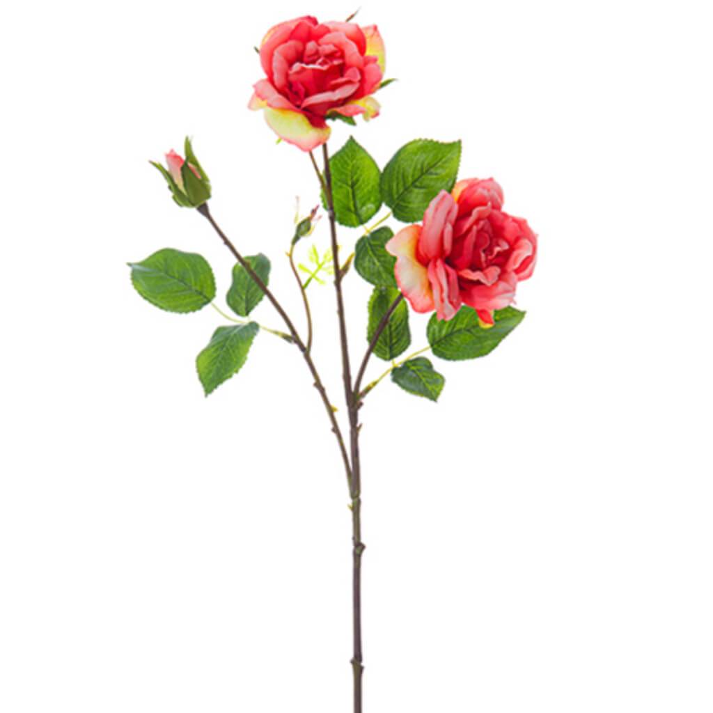 Rose Spray 24" Co 