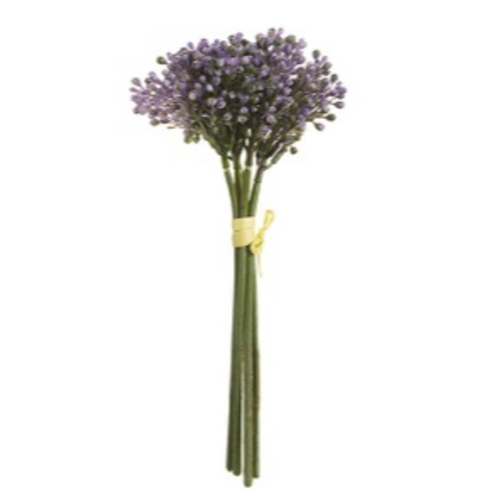 Sedum Bundle 9" Pu 