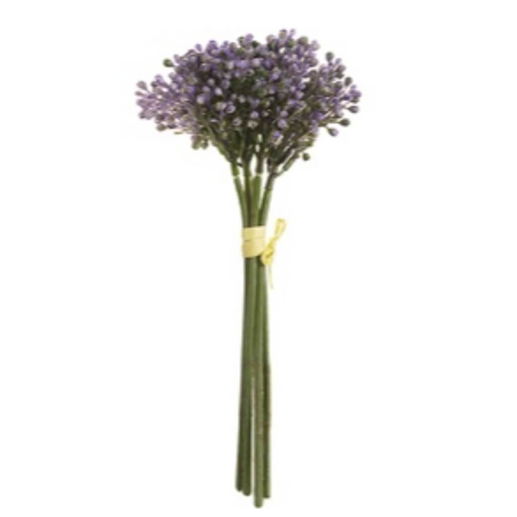 Sedum Bundle 9" Pu 