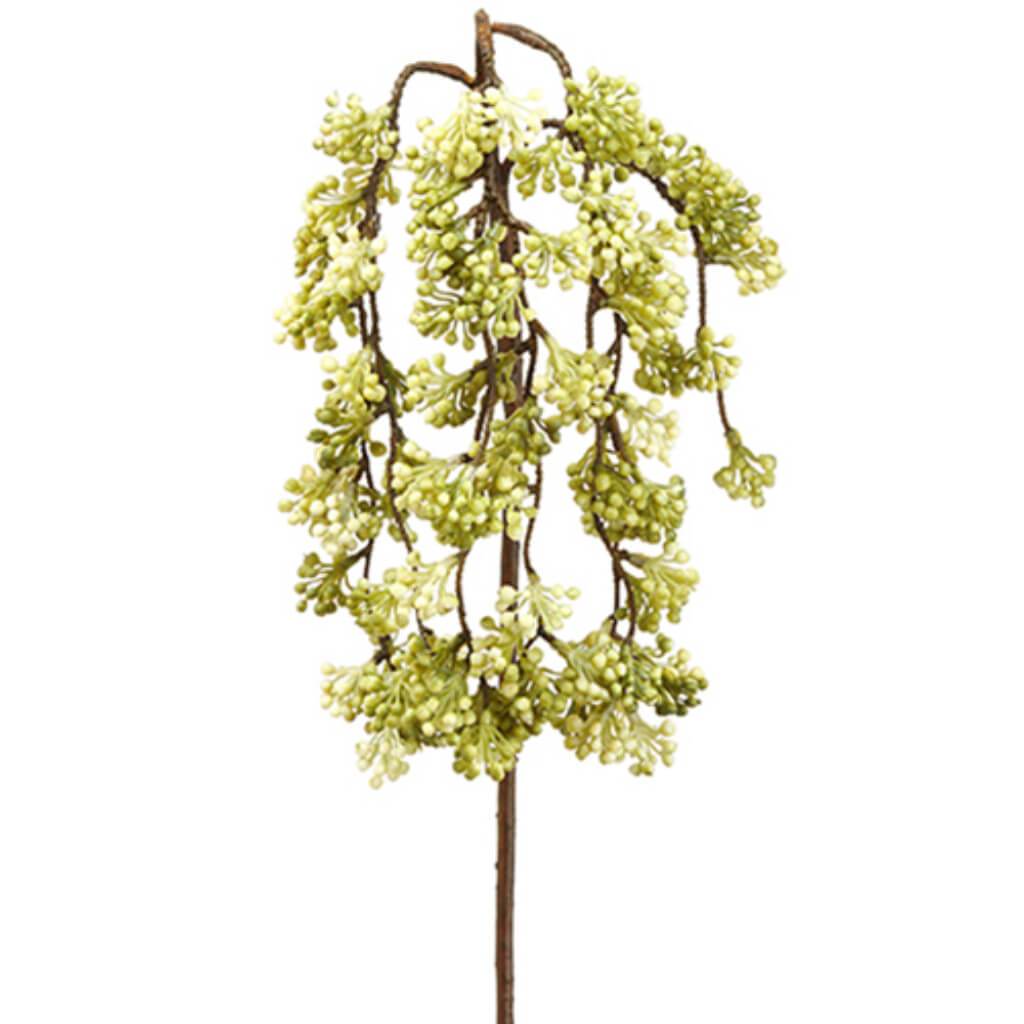 Sedum Spray 28" Gr/Tt 