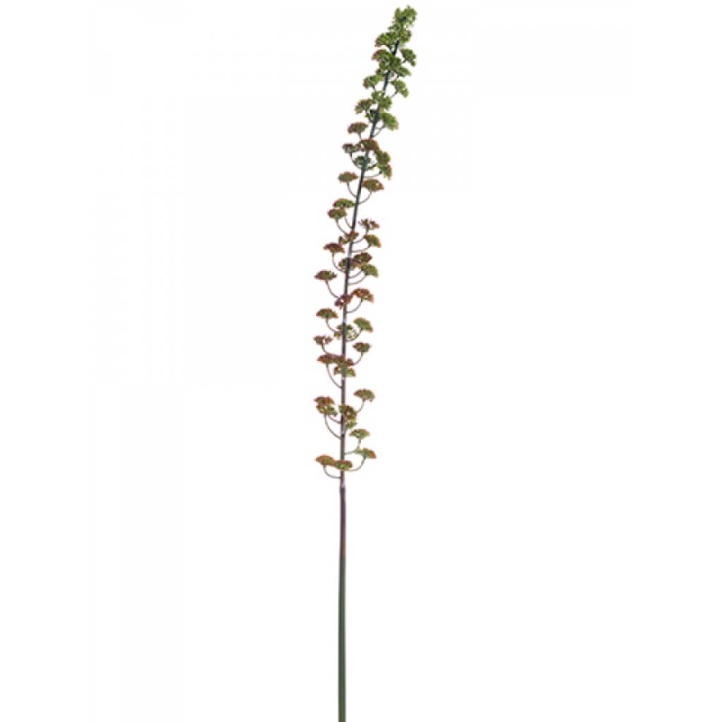 Sedum Spray 37" Bu/Gr 