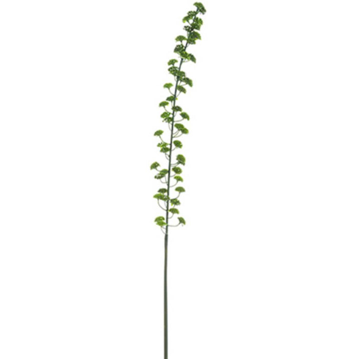 Sedum Spray 37" Gr 