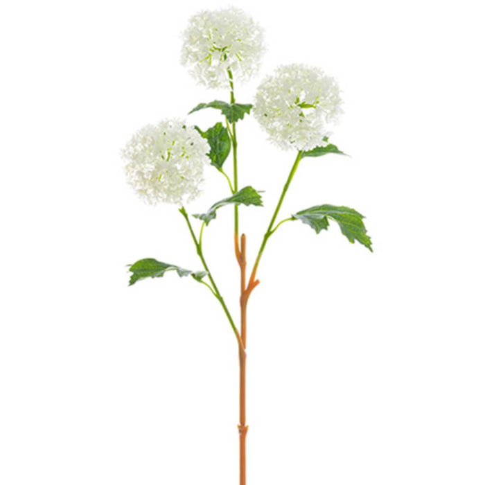 Snowball Spray 24" Wh 