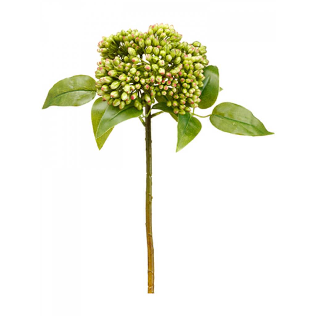 Sedum Spray 17" Gr/Mv 