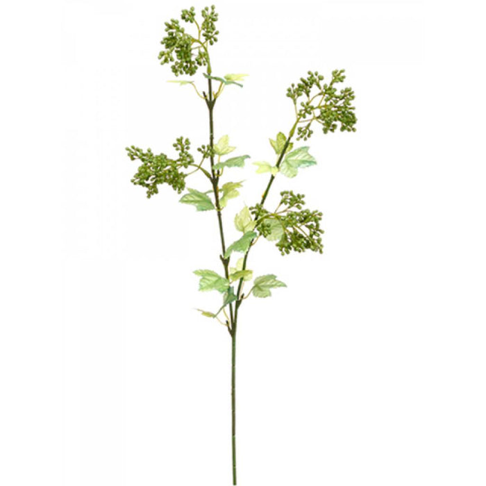 Sedum Spray 28" Gr 