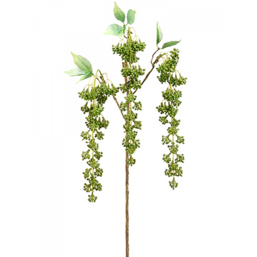 Sedum Hanging Spray 43" Gr 