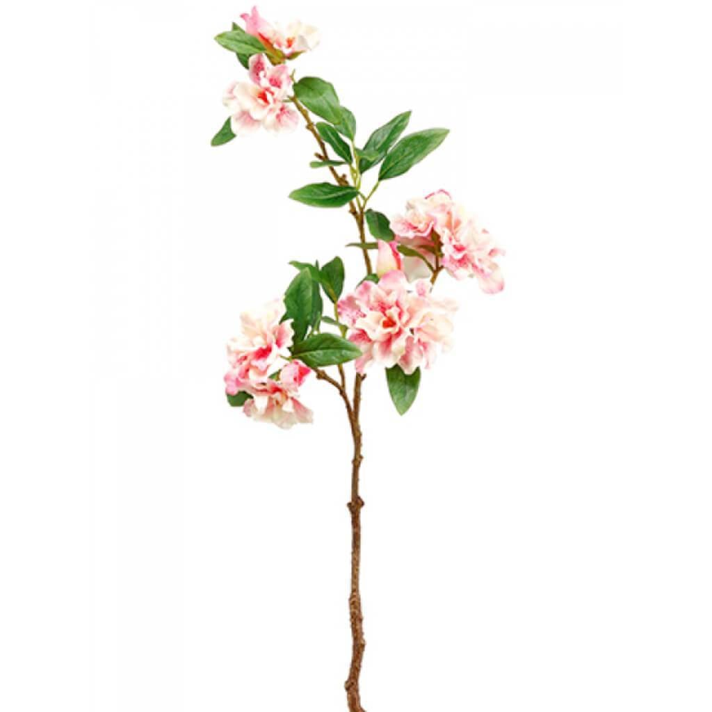 Azalea Spray 27&quot; Pk 