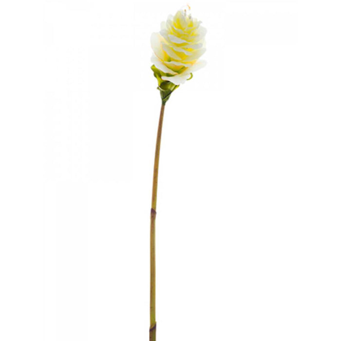 Ginger Flower Spray 41" Cr/Ye 