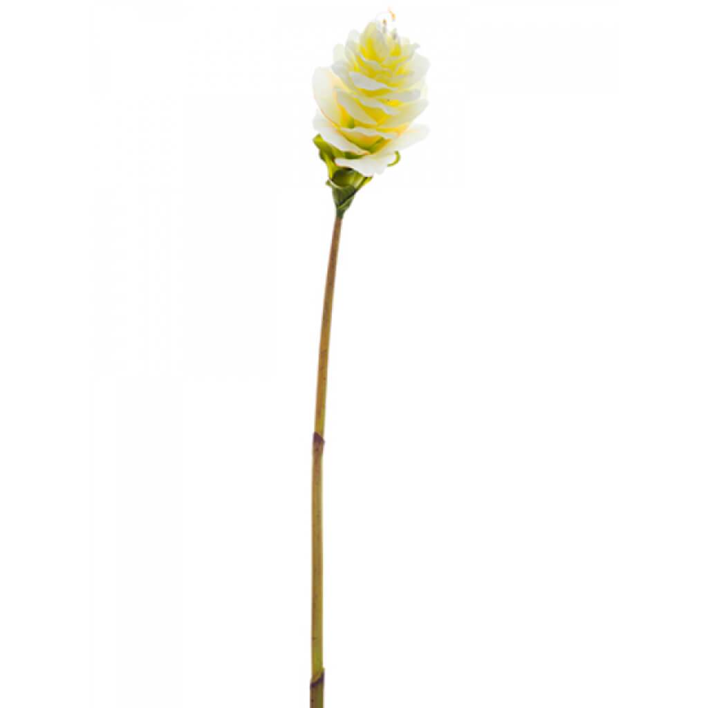 Ginger Flower Spray 41" Cr/Ye 