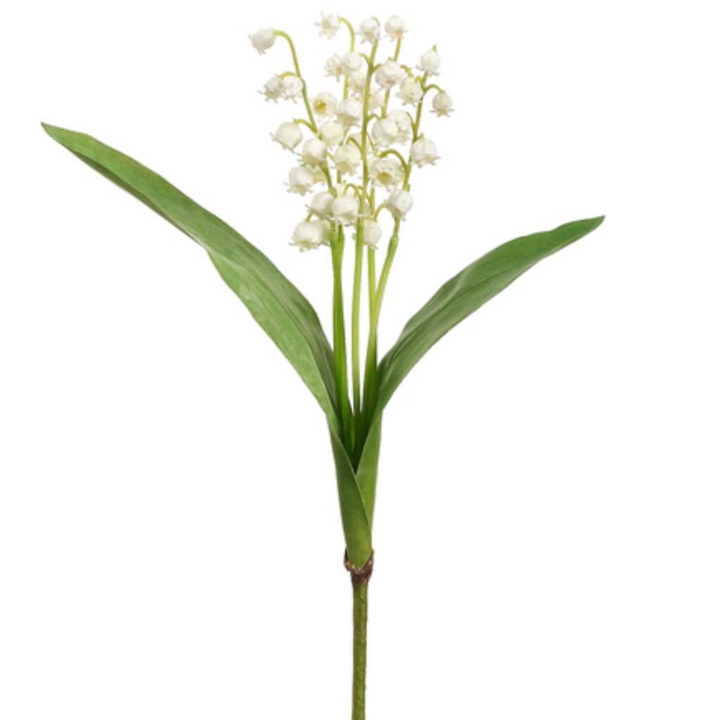 Lily Of The Valley X5 Sp. 12.5&quot; 