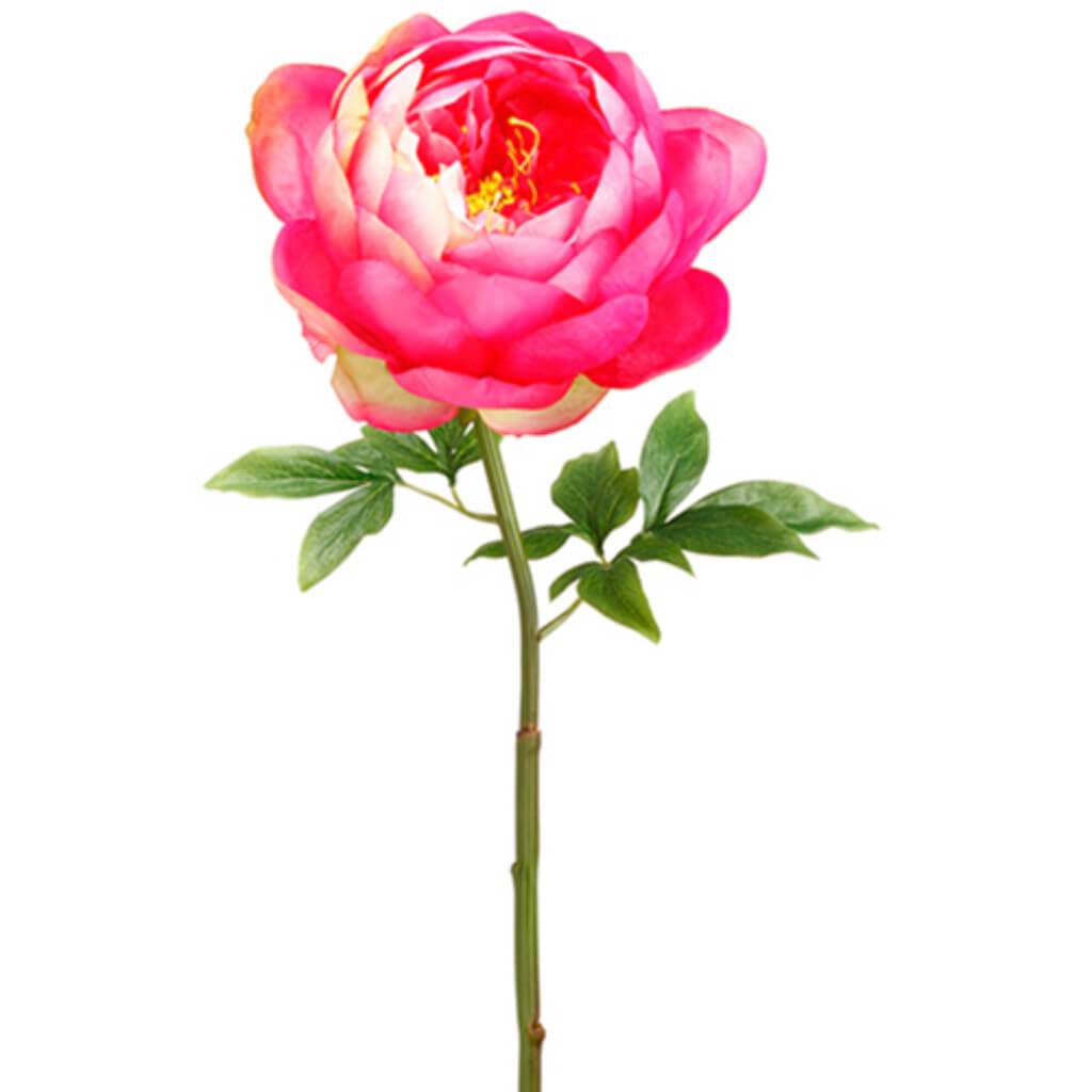 Peony Spray 27" Ce/Fu 