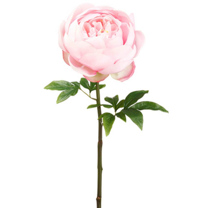 Peony Spray 27" Pk 