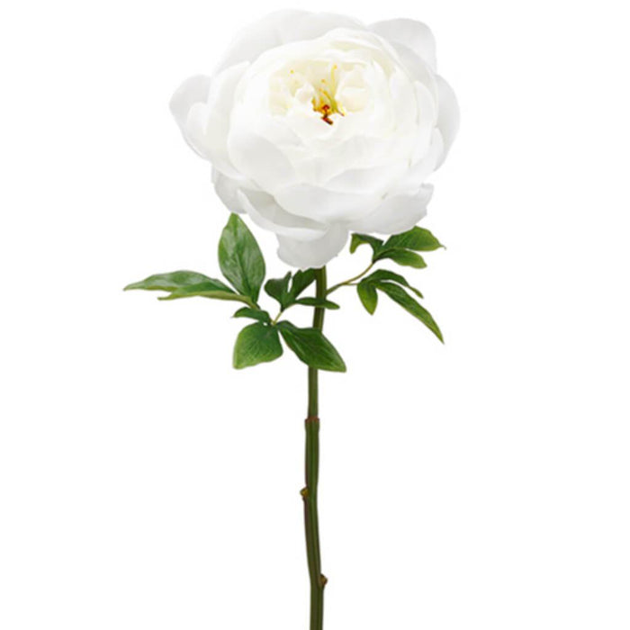 Peony Spray 27" Wh 