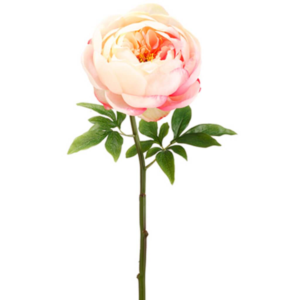 Peony Spray 27" Wh/Pk 