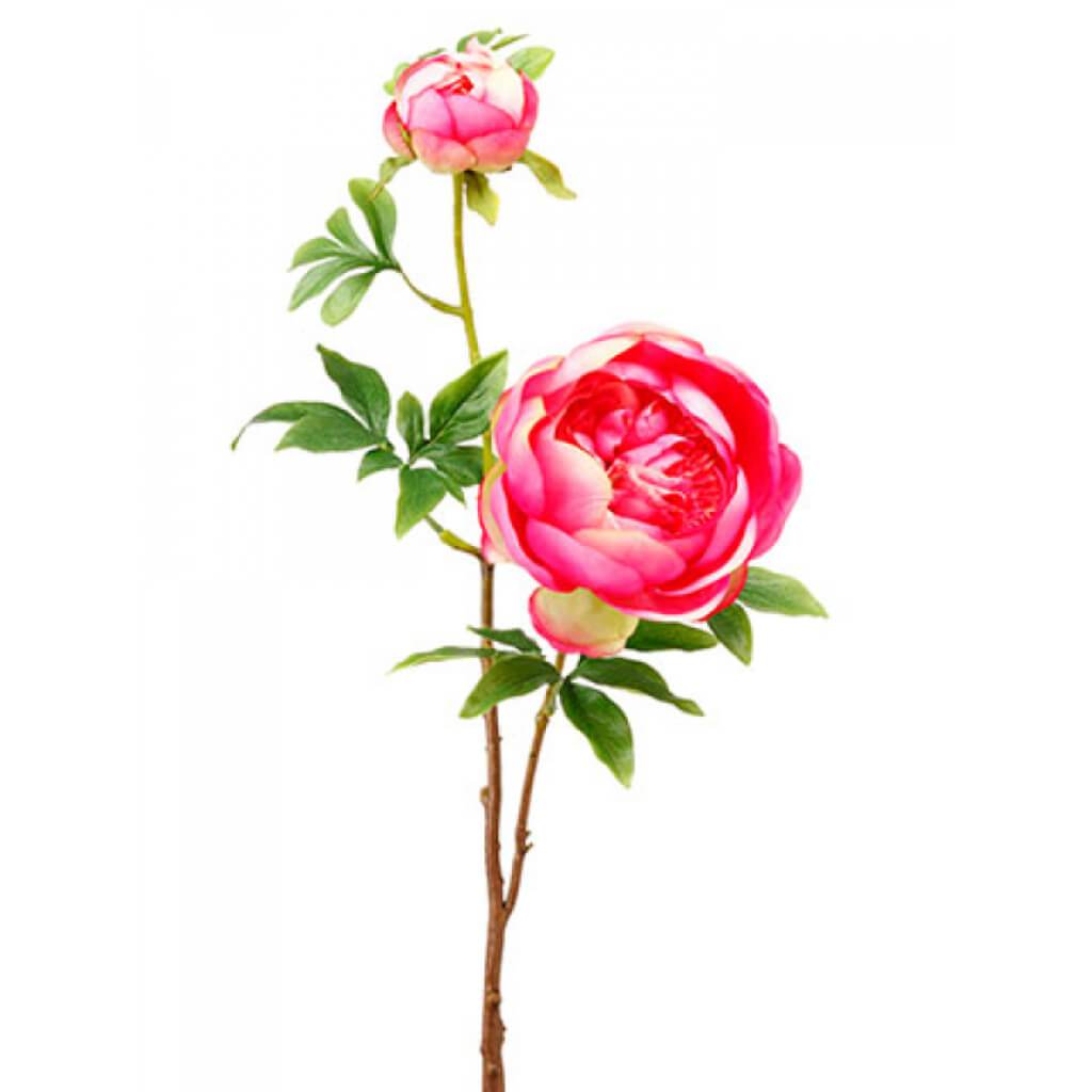 Peony Spray With Bud 27.5" 