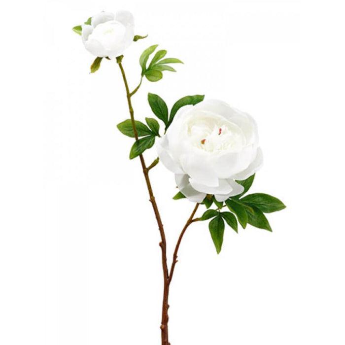 Peony Spray With Bud 27.5" Wh 