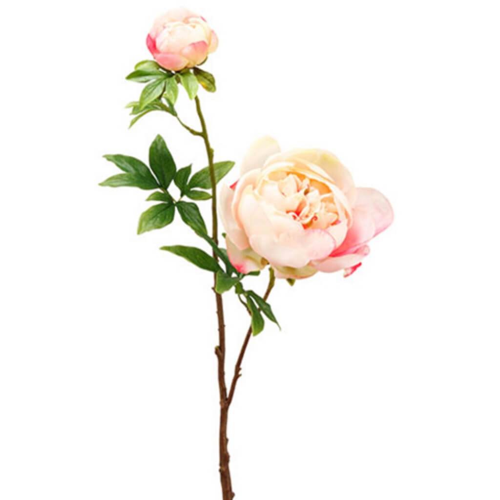 Peony Spray With Bud 27.5" 