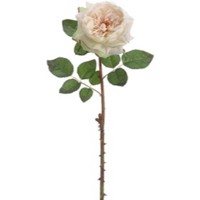 English Rose Spray 20" Va 