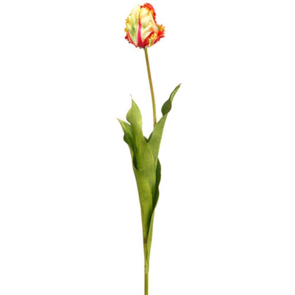 Parrot Tulip Bud Spray 26.5&quot; 