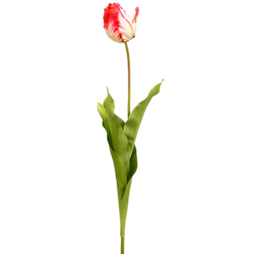 Parrot Tulip Bud Spray 26.5&quot; 