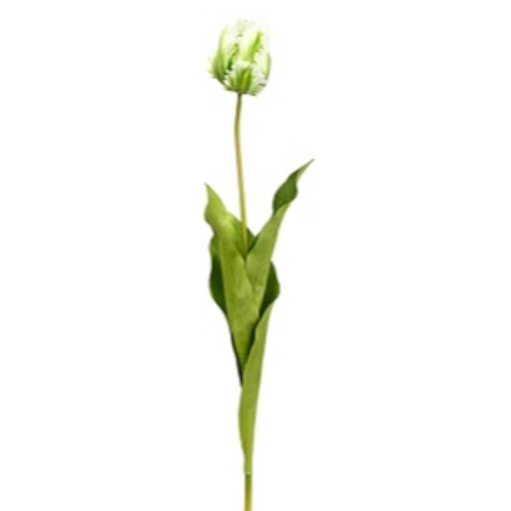 Parrot Tulip Bud Spray 26.5&quot; 