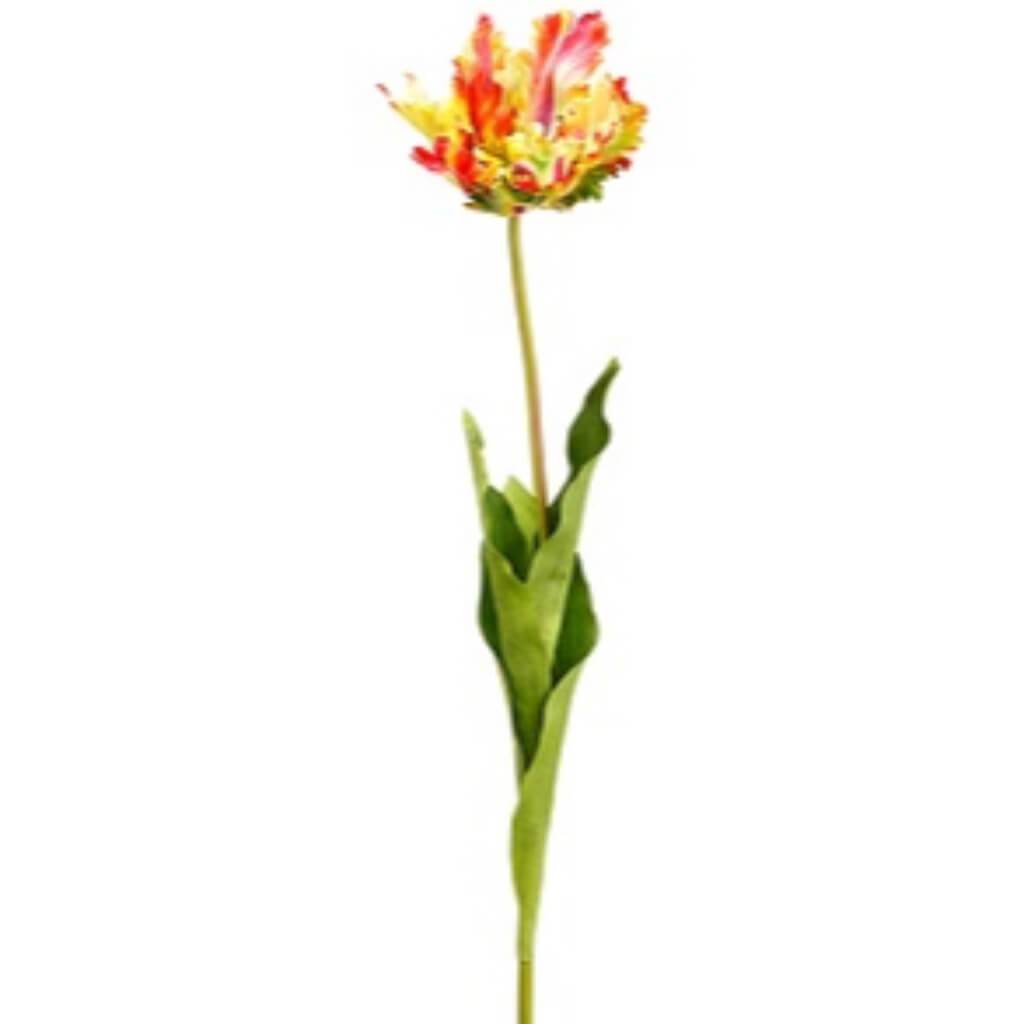 Open Parrot Tulip Spray 27" 