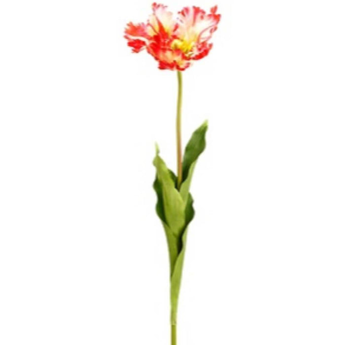 Open Parrot Tulip Spray 27" 