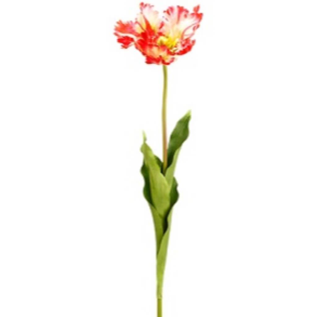 Open Parrot Tulip Spray 27" 