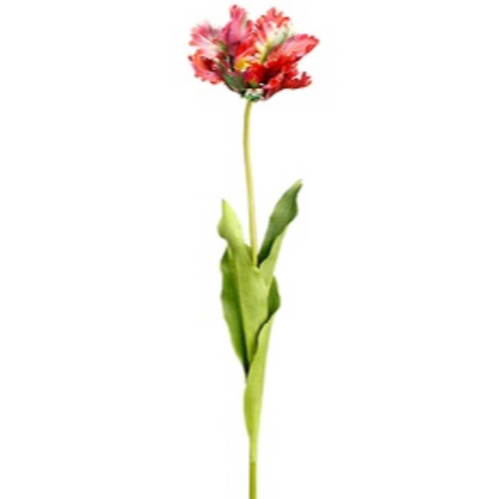 Open Parrot Tulip Spray 27" 
