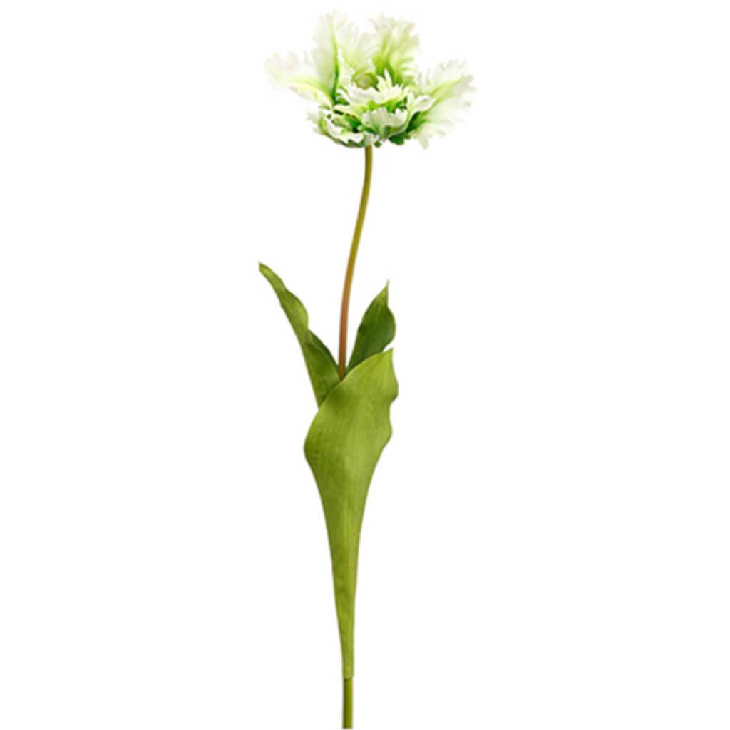 Open Parrot Tulip Spray 27" 