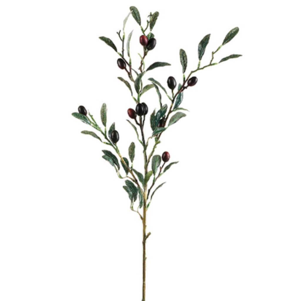 Olive Spray 30&quot; Bu/Bk 