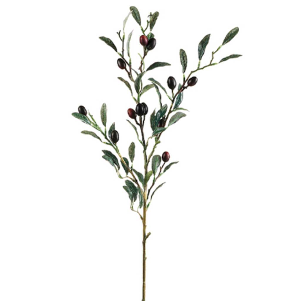Olive Spray 30" Bu/Bk 